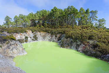 Devil's Bath, Waiotapu Thermal Area, Rotorua, North Island, New Zealand, Pacific