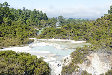 Waiotapu Thermal Area, Rotorua, North Island, New Zealand, Pacific