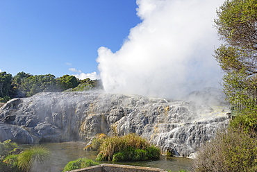 Pohutu Geyser and Prince of Wales Geyser, Rotorua, North Island, New Zealand, Pacific