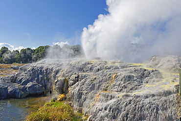 Pohutu Geyser and Prince of Wales Geyser, Rotorua, North Island, New Zealand, Pacific