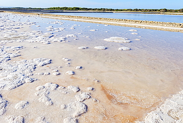 Salt lake, Formentera, Balearic Islands, Spain, Mediterranean, Europe 