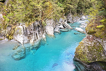 The Blue Pools of Haast Pass, Mount Aspiring National Park, UNESCO World Heritage Site, West Coast, South Island, New Zealand, Pacific