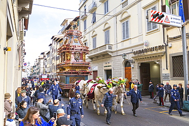 An ornate Ox cart for the Explosion of the Cart festival (Scoppio del Carro) where on Easter Sunday a cart of pyrotechnics is lit, Florence, Tuscany, Italy, Europe