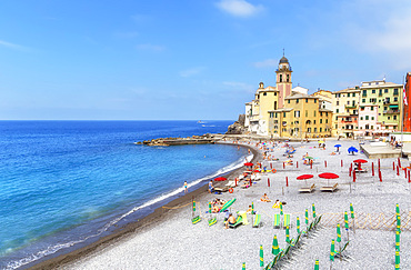 Marina harbour, Camogli, Riviera di Levante, Liguria, Italy, Europe