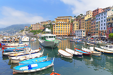 Camogli fishing port, Camogli, Riviera di Levante, Liguria, Italy, Europe