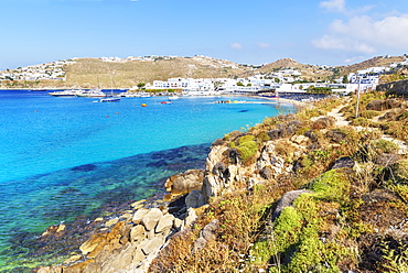 Platis Gialos beach, Mykonos, Cyclades Islands, Greek Islands, Greece, Europe