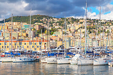 Historic district and Porto Antico (Old Port) view, Genoa, Liguria, Italy, Europe