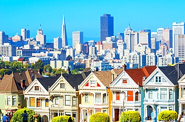 The Painted Ladies, Alamo Square, San Francisco, California, United States of America, North America