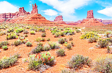 Valley of the Gods, Utah, United States of America, North America