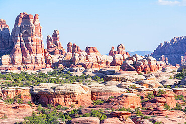 Sandstone pinnacles, Chesler Park, The Needles district, Canyonlands National Park, Utah, United States of America, North America