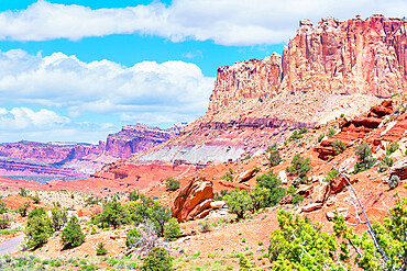 Sandstone cliffs, Capitol Reef National Park, Utah, United States of America, North America