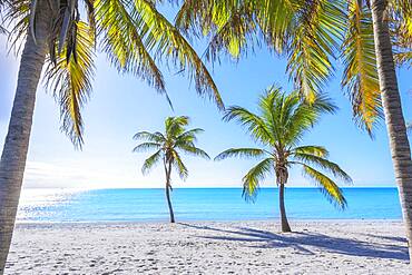 Smathers Beach, Key West, Florida, United States of America, North America