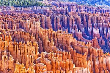 Bryce Canyon, Bryce Canyon National Park, Utah, United States of America, North America