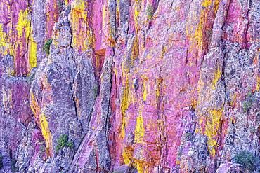 Man rock climbing, Coconino National Forest, Arizona, United States of America, North America