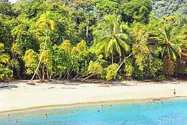 Tropical beach, Manuel Antonio National Park, Quepos, Costa Rica, Central America