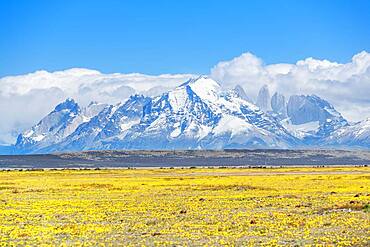 View of Horns of Paine (Cuernos del Paine) mountain range, Torres del Paine National Park, Patagonia, Chile, South America