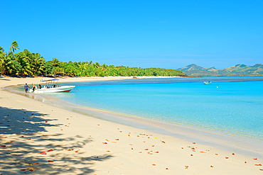 Tropical sandy beach, Nacula island, Yasawa islands, Fiji, South Pacific Islands, Pacific