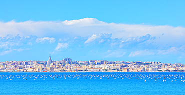 Syracuse skyline, Syracuse, Sicily, Italy, Mediterranean, Europe