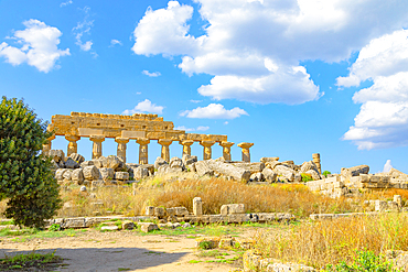 Temple of Apollo (Temple C), Selinunte Archaeological Park, Selinunte, Trapani district, Sicily, Italy, Mediterranean, Europe