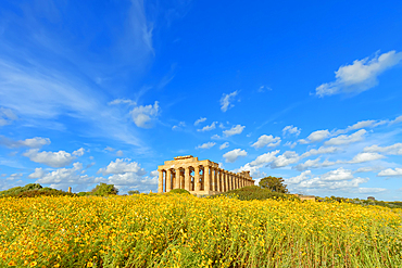 Temple of Hera (Temple E), Selinunte Archaeological Park, Selinunte, Trapani district, Sicily, Italy, Mediterranean, Europe