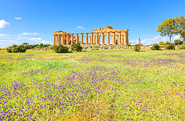 Temple of Hera (Temple E), Selinunte Archaeological Park, Selinunte, Trapani district, Sicily, Italy, Mediterranean, Europe