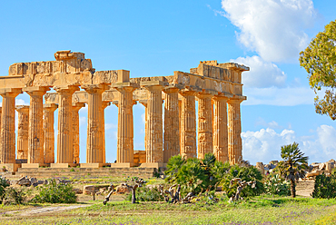 Temple of Hera (Temple E), Selinunte Archaeological Park, Selinunte, Trapani district, Sicily, Italy, Mediterranean, Europe