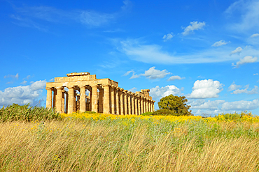 Temple of Hera (Temple E), Selinunte Archaeological Park, Selinunte, Trapani district, Sicily, Italy, Mediterranean, Europe