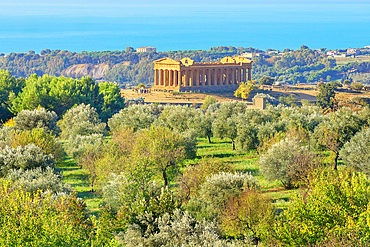 Concordia temple, Valley of Temples, Agrigento, Sicily, Italy