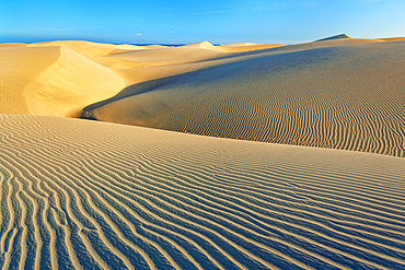 Sand dunes, Maspalomas, Playa del Ingles, Gran Canaria, Canary Islands, Spain
