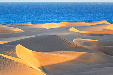 Sand dunes, Maspalomas, Playa del Ingles, Gran Canaria, Canary Islands, Spain