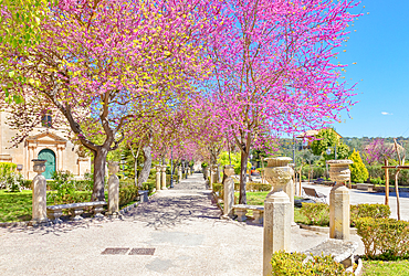 Giardino ibleo, Ragusa Ibla, Ragusa province, Sicily, Italy