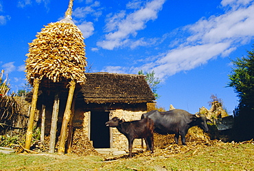 Nepalese countryside house, Nagarkot, Nepal