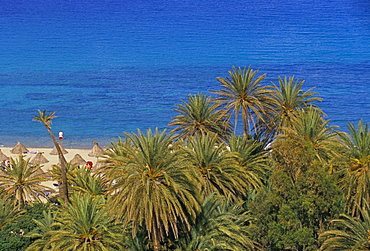 Aerial view of Vai beach and palm trees, eastern Crete, island of Crete, Greece, Mediterranean, Europe