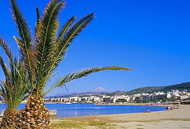 Palm tree and Rethymo beach, Rethymno (Rethymnon), island of Crete, Greece, Mediterranean, Europe