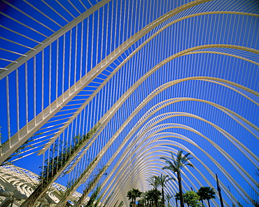 Umbracle, City of Arts and Sciences, architect Santiago Calatrava, Valencia, Spain, Europe