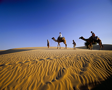 Caravan of people and camels in the Thar Desert, Rajasthan state, India, Asia