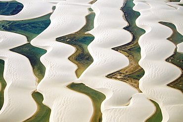 Aerial view of the sandy dunes and lagoons, part of Parque Nacional dos Lencois Maranhenses, Brazil, South America