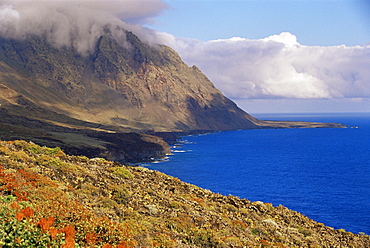 Flowers and mountains on the southern coast, El Hierro, Canary Islands, Spain, Atlantic, Europe