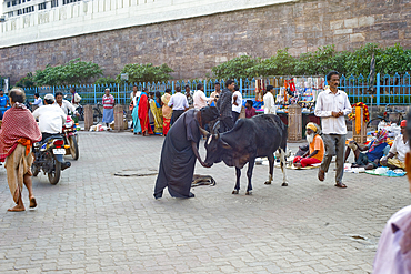 Scene in the bazaar with cow, outside the walls of the 12th century temple dedicated to Lord Jagannath, an embodiment of Krishna, situated in Puri, State of Odisha, India, Asia