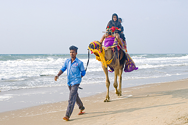 Early morning scene with camel handler with his camel and two children strolling along the beach, Puri, coastal city on the Bay of Bengal, Puri, Odisha, India, Asia