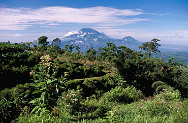 Site of Gedong Songo, island of Java, Indonesia, Southeast Asia, Asia