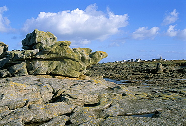 The village seen from the great rocks, Ile de Sein, Breton Islands, Finistere, Brittany, France, Europe