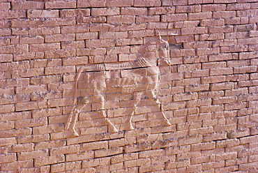 Lion brick relief, Nebuchadnezzar's Palace, Babylon, Iraq, Middle East