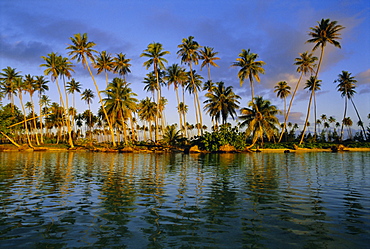 East coast, Motu Nao Nao, Raiatea Island, Society Islands archipelago, French Polynesia, South Pacific, Pacific