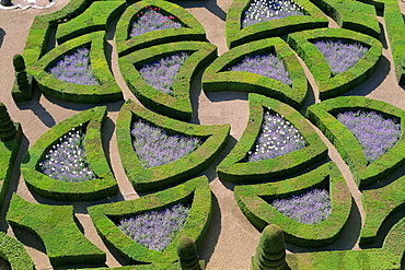 Formal gardens, Chateau of Villandry, Indre et Loire, Loire Valley, France, Europe