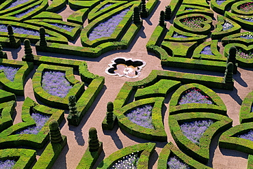 Formal gardens, Chateau of Villandry, Indre et Loire, Loire Valley, France, Europe