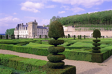 Topiary in formal gardens, Chateau of Villandry, UNESCO World Heritage Site, Indre et Loire, Loire Valley, France, Europe