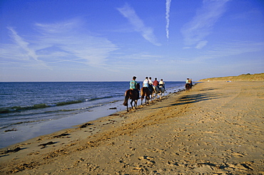 Conche des Baleines, horseriders on beach, Saint Clement village, Ile de Re, Charente Maritime, France, Europe