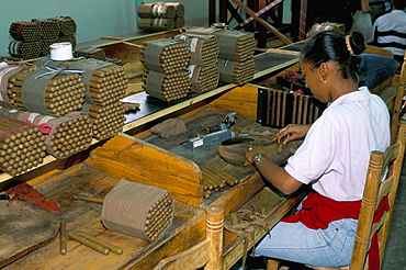 Leon Jimenes cigar factory, town of Santiago, Saint Domingue (Santo Domingo), Dominican Republic, Central America