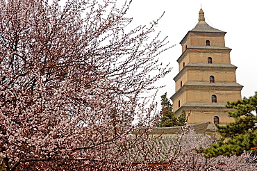 Great Wild Goose Pagoda (Dayanta) built during the Tang Dynasty in the 7th century, Xian, Shaanxi, China, Asia